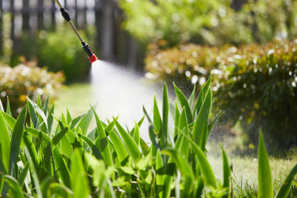 Tamper-Resistant Bait Stations for Rodents in Brevard