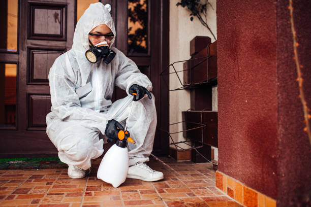 Attic and Crawl Space Rodent Treatment in Brevard