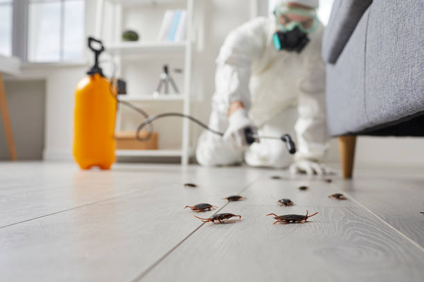 Commercial Rodent Management in Brevard